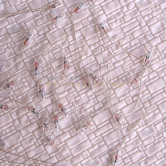30 pcs 3mm Clear 16V Mini Grain of Wheat / Rice Bulbs