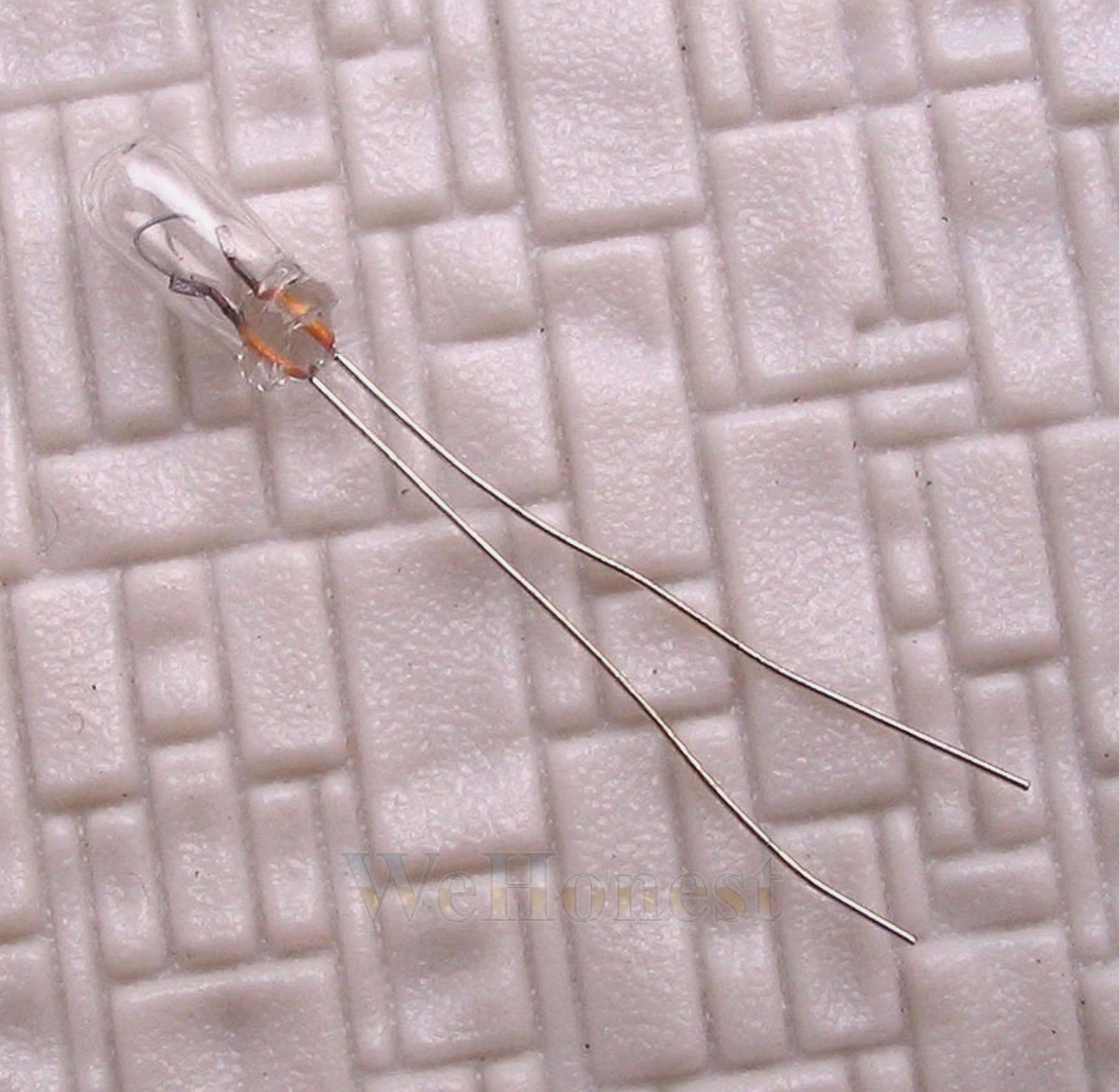 Grain of Wheat Bulbs